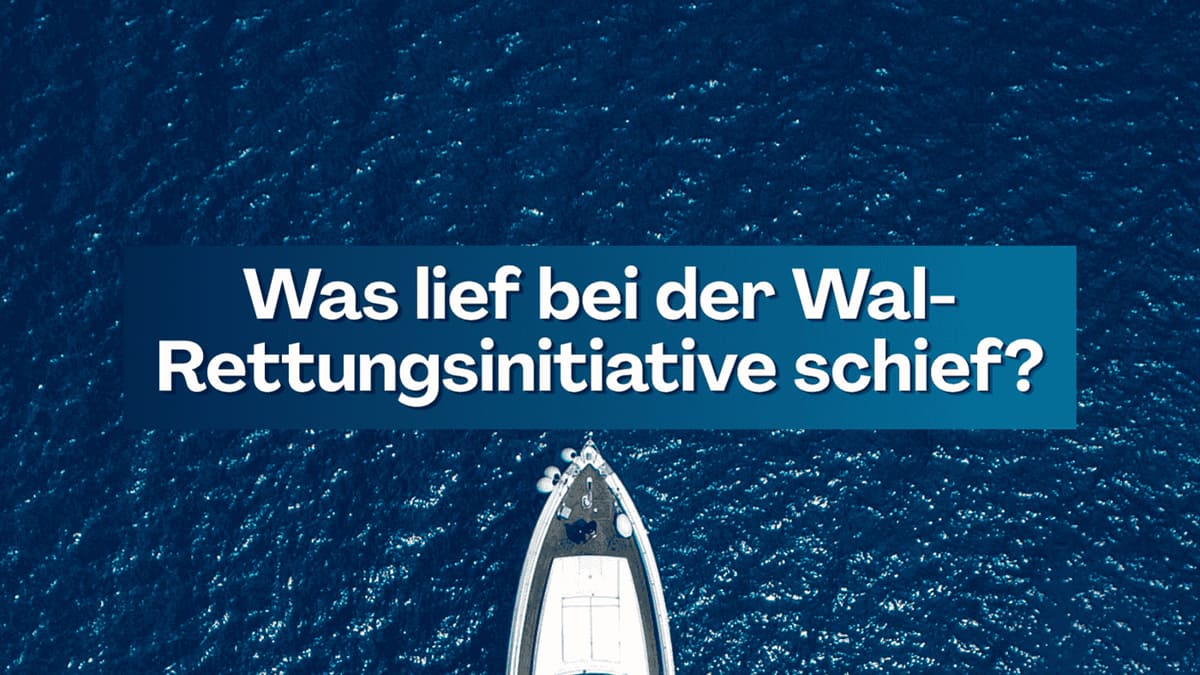 Was lief bei der Wal-Rettungsinitiative schief