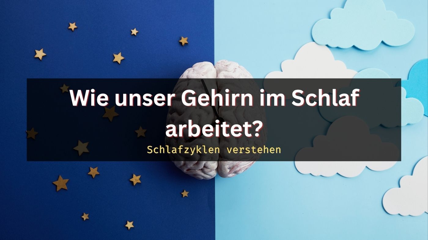 Wie unser Gehirn im Schlaf arbeitet